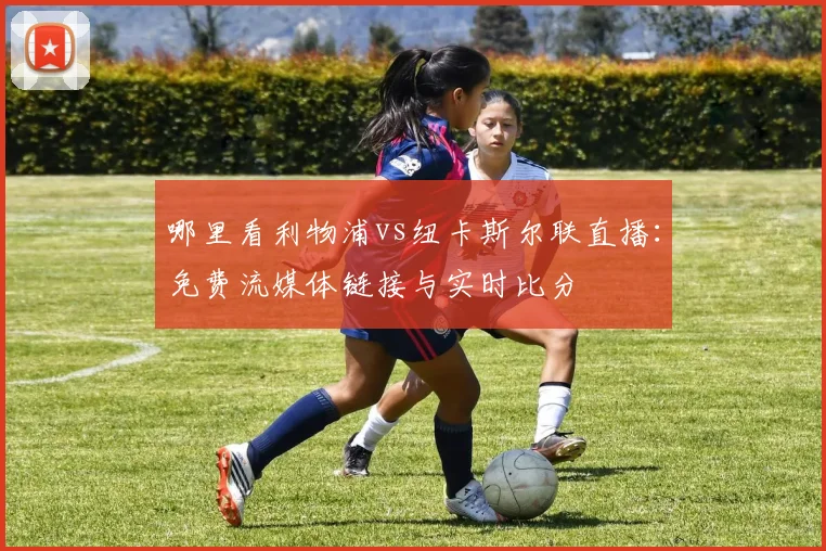 哪里看利物浦vs纽卡斯尔联直播：免费流媒体链接与实时比分