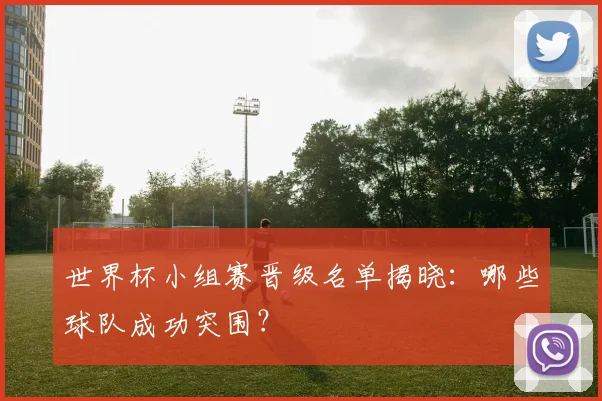 世界杯小组赛晋级名单揭晓：哪些球队成功突围？