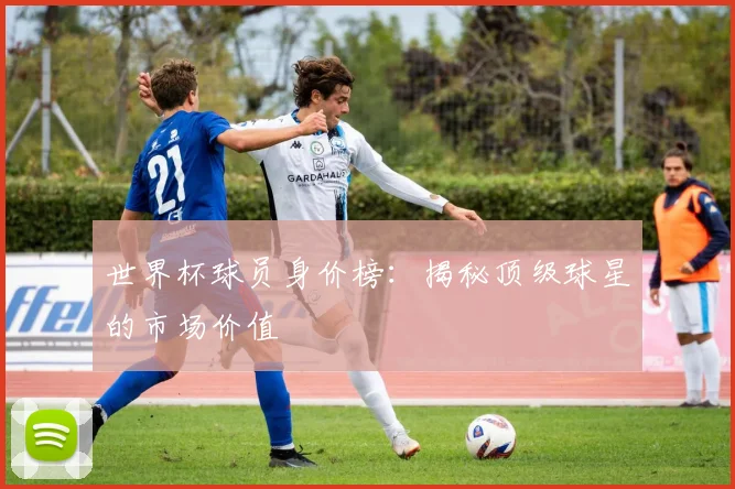 世界杯球员身价榜：揭秘顶级球星的市场价值