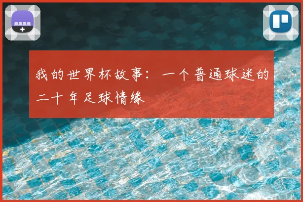 我的世界杯故事：一个普通球迷的二十年足球情缘