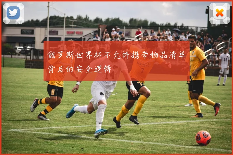 俄罗斯世界杯不允许携带物品清单背后的安全逻辑