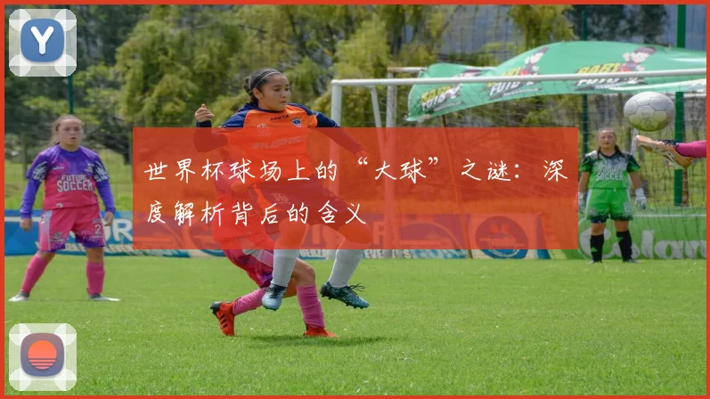 世界杯球场上的“大球”之谜：深度解析背后的含义