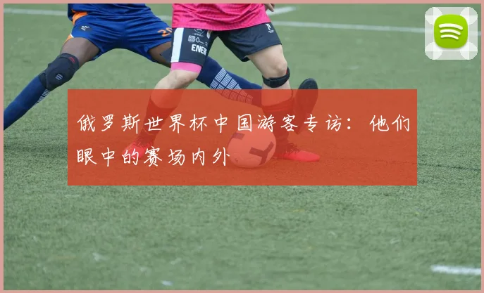 俄罗斯世界杯中国游客专访：他们眼中的赛场内外