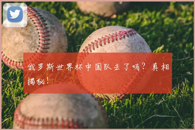 俄罗斯世界杯中国队去了吗？真相揭秘！
