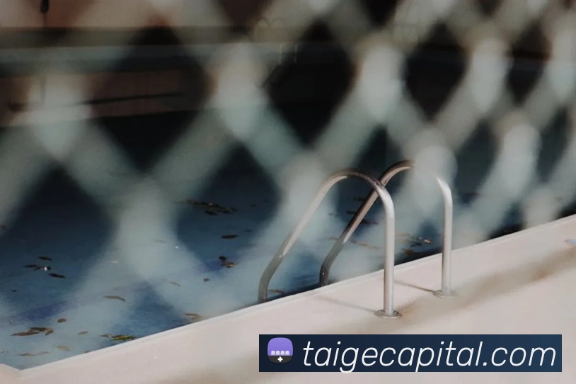 开云app官方版入口app平台生态图